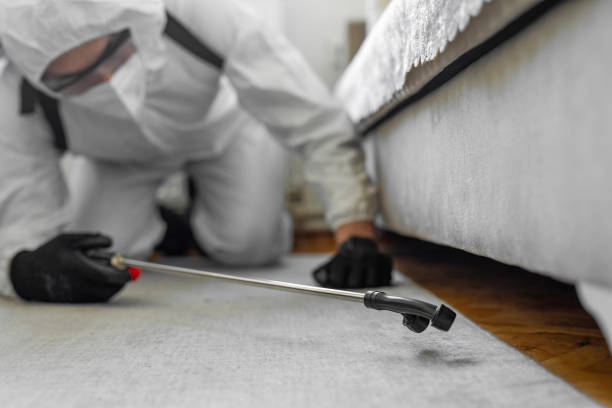 Professional Termite Control technician working in Oak Grove, LA