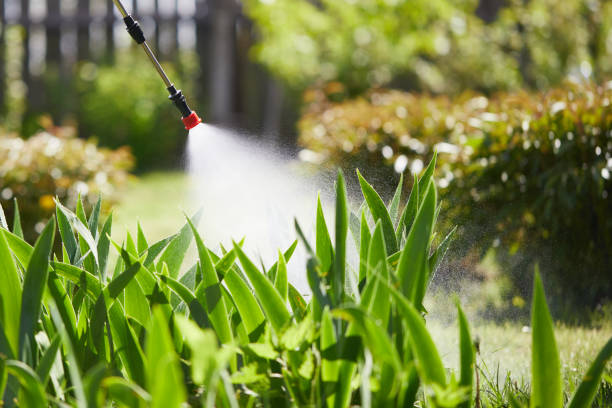 24/7 Emergency Termite Control experts in Oak Grove, LA