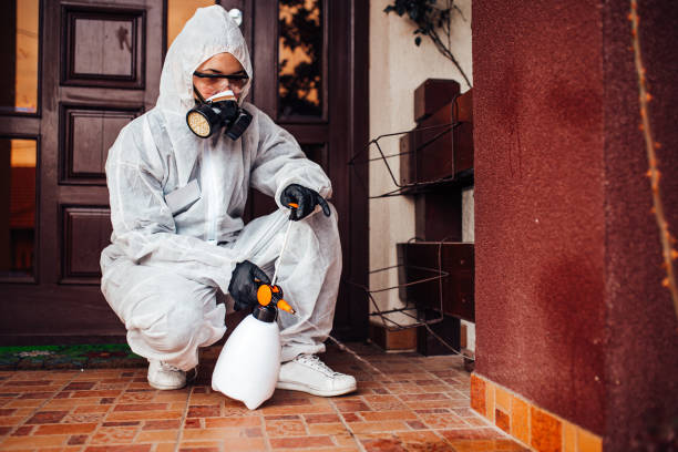 Reliable Termite Control contractor in Oak Grove, LA by Nex Pest Control